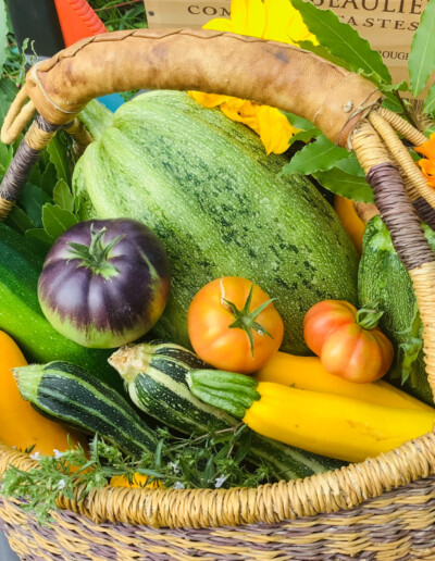 Panier de courgettes et de tomates venant d'un potager en permaculture