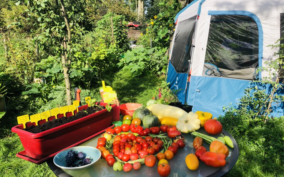 Au Camping du Potager Heureux, une nouvelle vie a commencé